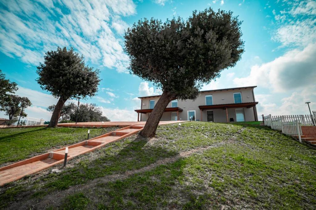 Agriturismo Il Colle Dei Lecci 安科纳 外观 照片